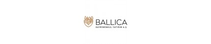 Ballıca Panorama Villaları